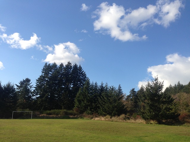 谦逊和坚持