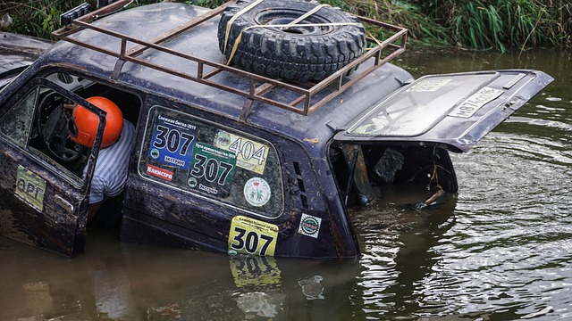 呈现了一场 呈现了一场