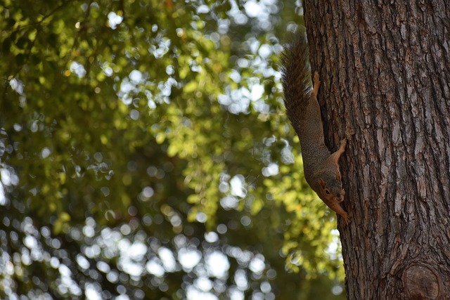 队的影响 队的影响