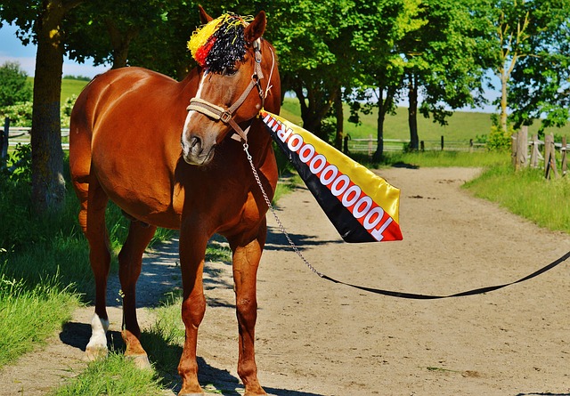 关注的津门 关注的津门